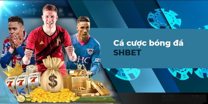 Sơ lược về trang cá độ bóng đá trực tuyến SHBET