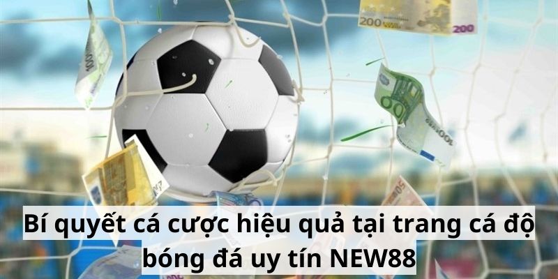 Bí quyết cá cược hiệu quả tại trang cá độ bóng đá uy tín NEW88