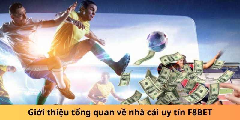 Giới thiệu tổng quan về nhà cái uy tín F8BET